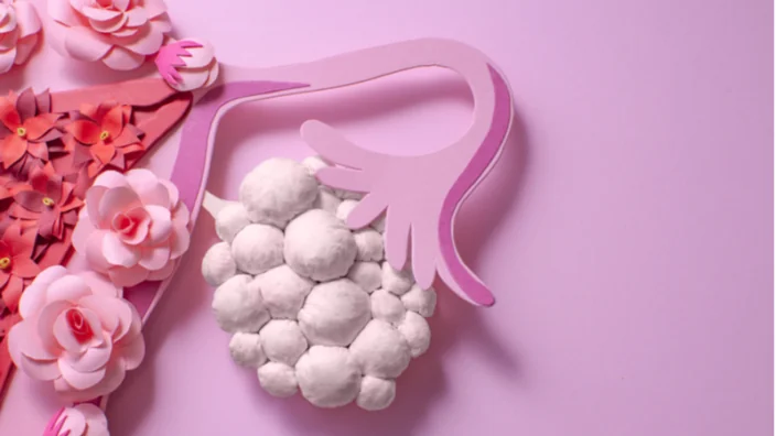 Ovary follicle
