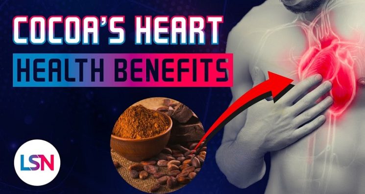 Lifespan News – Health Benefits of Cocoa