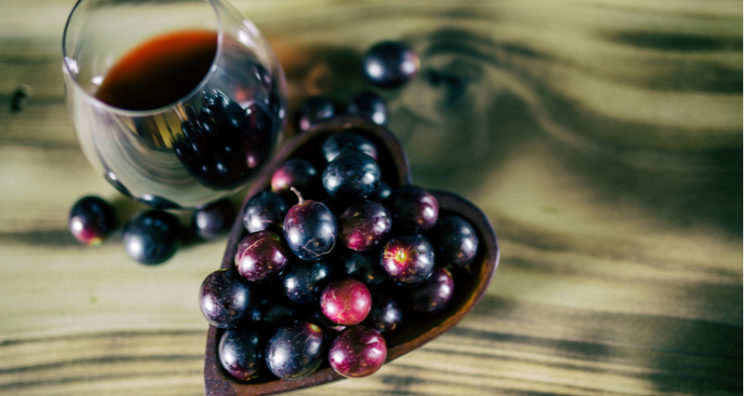 What is Resveratrol, and is it Good for Longevity?