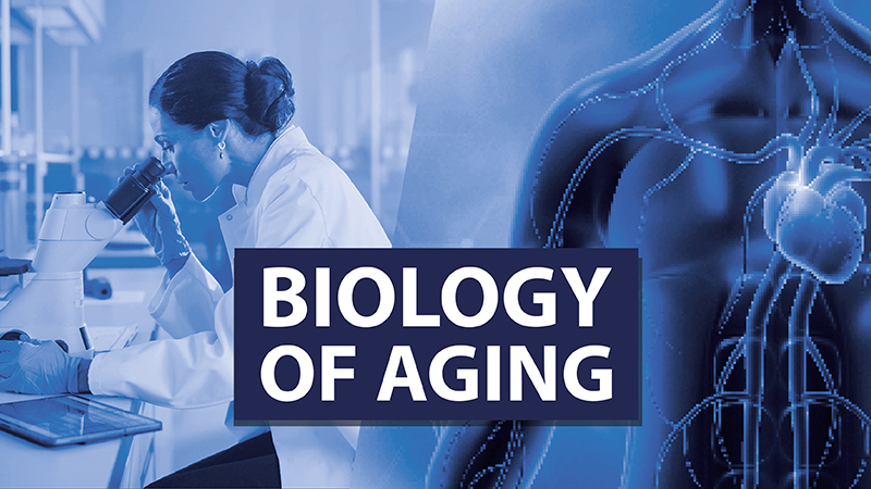 Biology of Aging Hub Box
