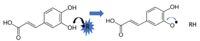 Caffeic acid