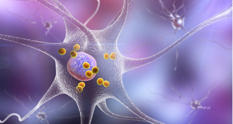 Developing Nanobodies to Fight Parkinson’s Disease