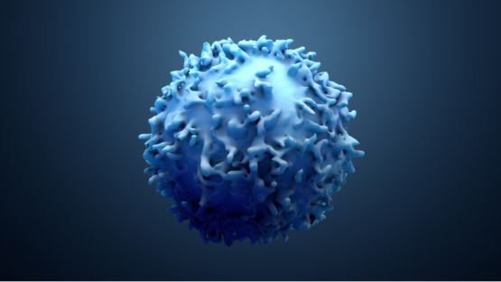 Cancer cell