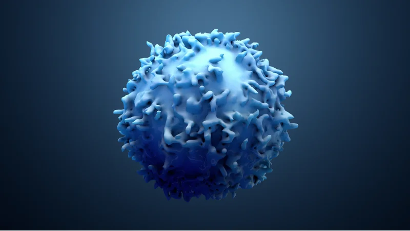 Cancer cell