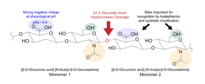 Hyaluronic Acid Structure