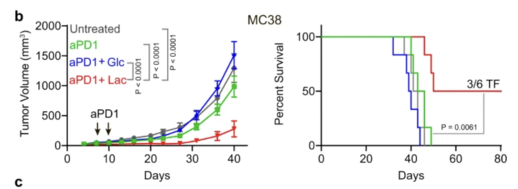 Lactate 1