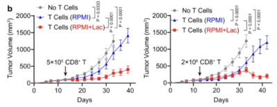 Lactate 2