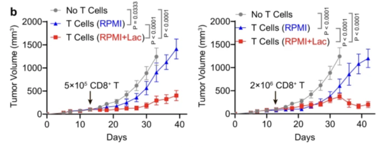 Lactate 2