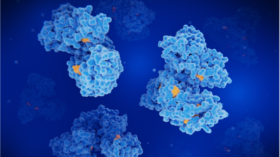 Albumin