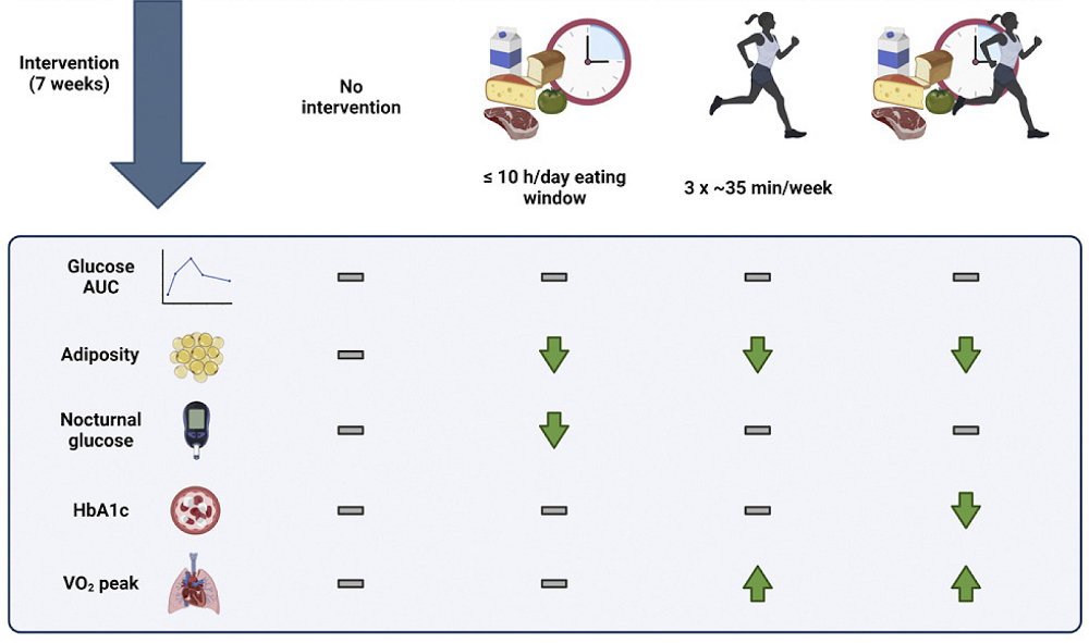 TREHIIT 1