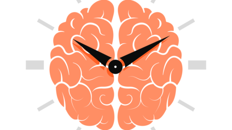 Brain clock