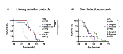 Reprogramming Progeroid Mice