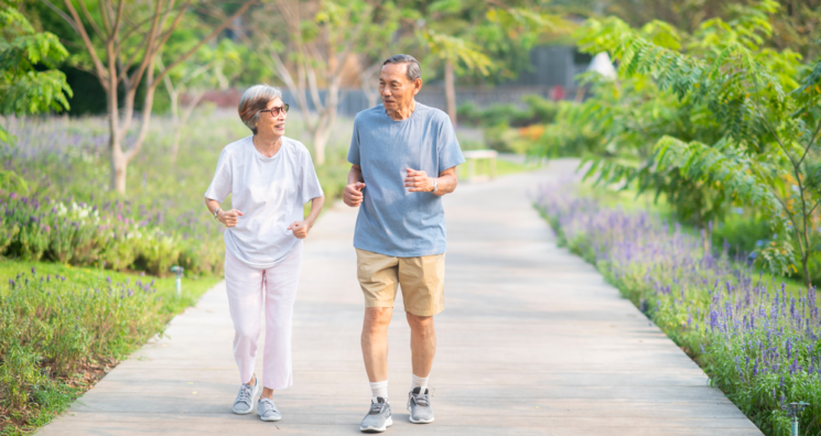 Study Suggests NMN May Improve NAD+ and Walking Speed