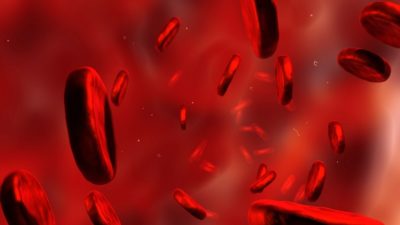 Red blood cells