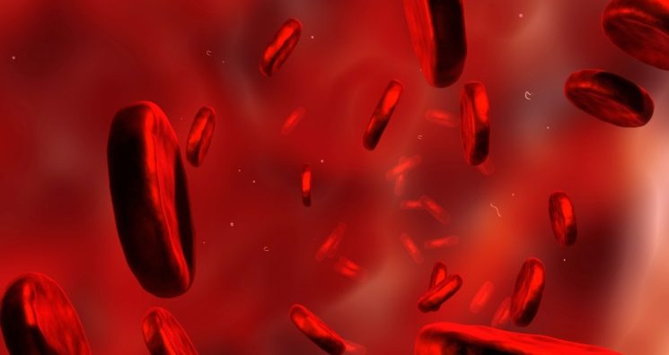 Haemopoiesis: How Blood Is Created