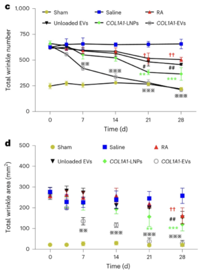 mRNA collagen