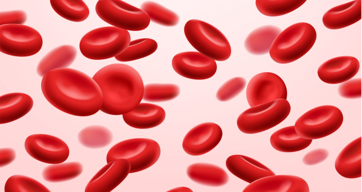 Red Blood Cells as Biomarkers of Aging