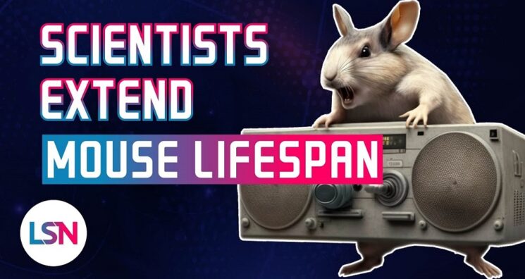 Lifespan News – Gene Therapy Extends Mouse Lifespan