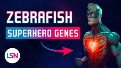 LSN Gene Therapy