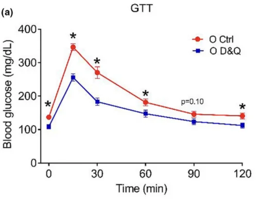 Senolytics metabolism