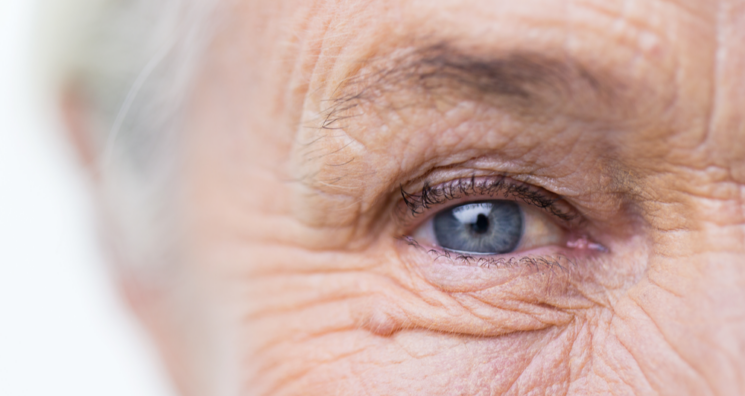 Using AI to Measure Age Through the Eyes