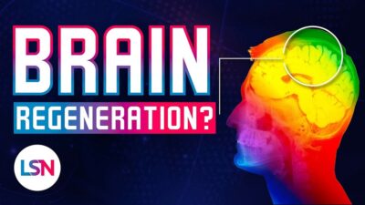 LSN Brain Regeneration