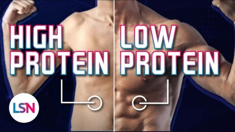 LSN Protein Muscle