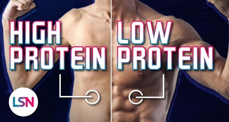 Lifespan News – Protein and Muscle