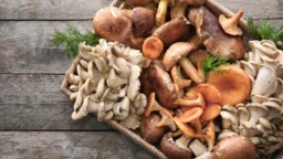 Edible mushrooms