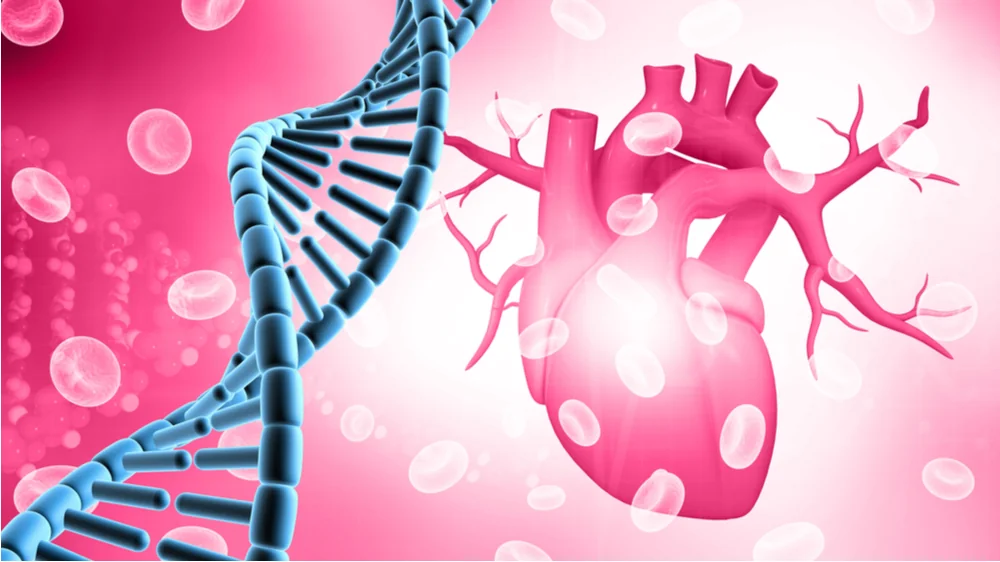 Heart DNA