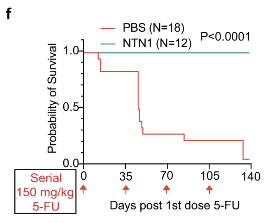 Netrin-1