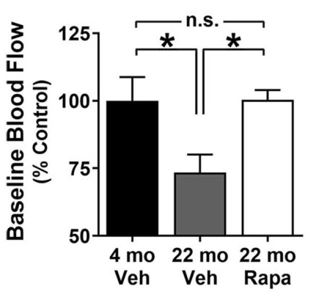 Rapamycin PAD 1