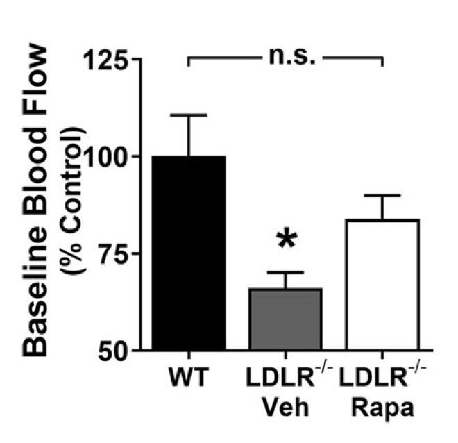 Rapamycin PAD 2