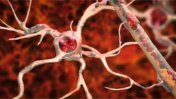 Astrocyte