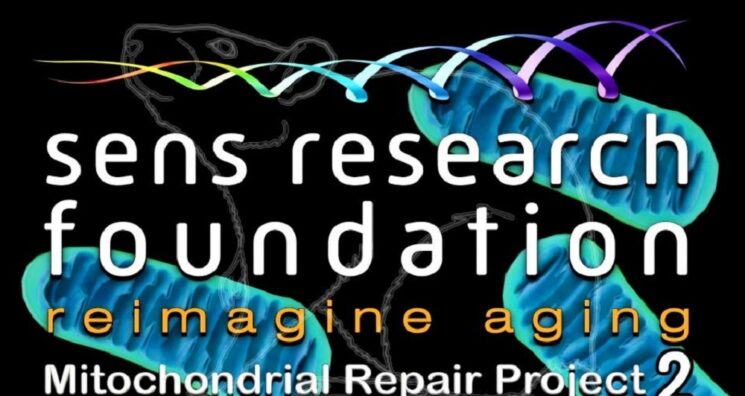 How Your Funding Has Helped Mitochondrial Research