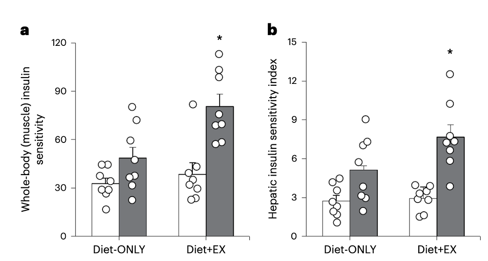 Diet Exercise Insulin