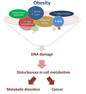 Metabolic syndrome