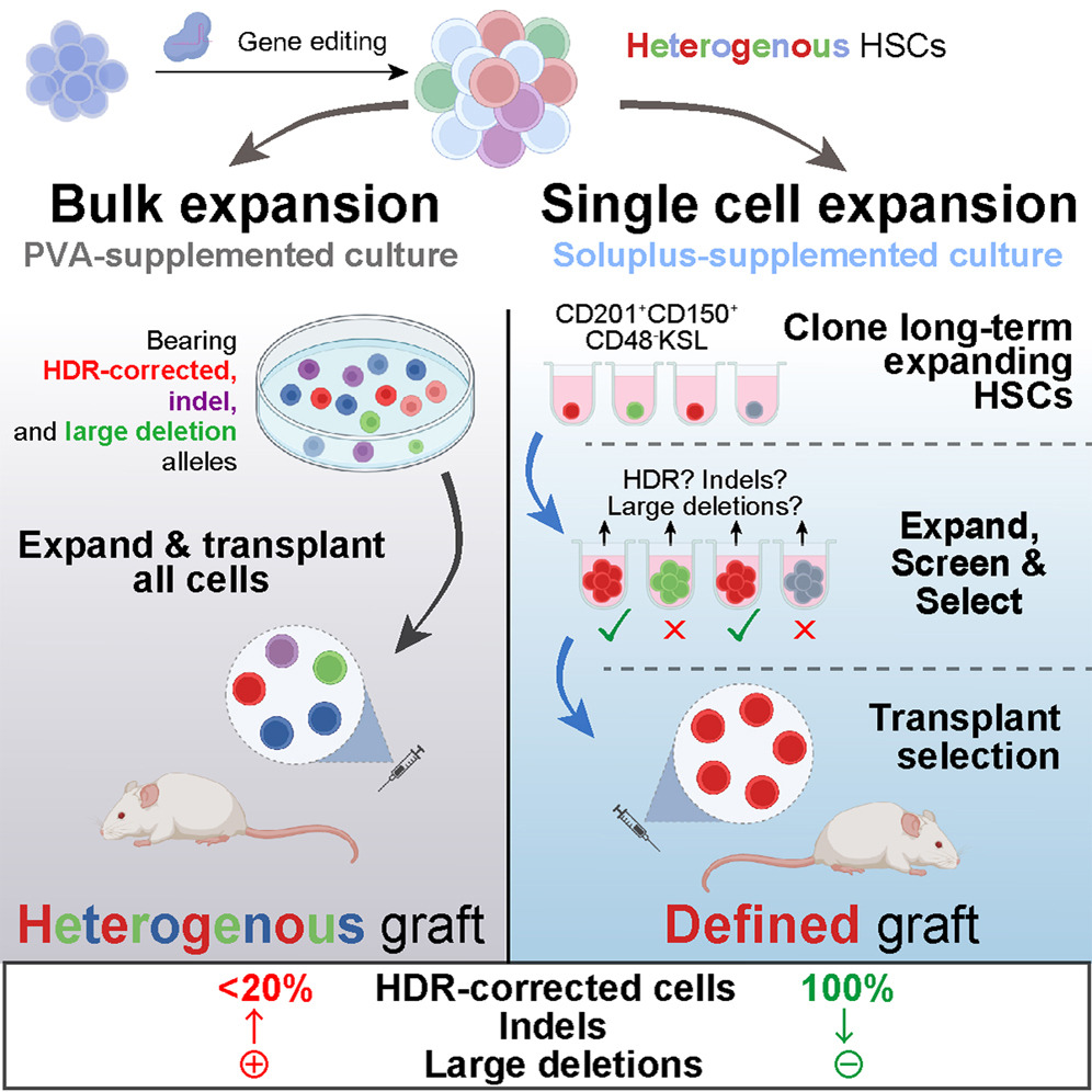 Engineered Stem Cell Approach