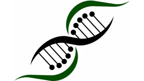 Even genetics