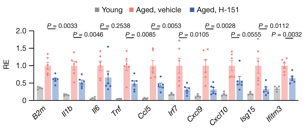 STING Gene Expression