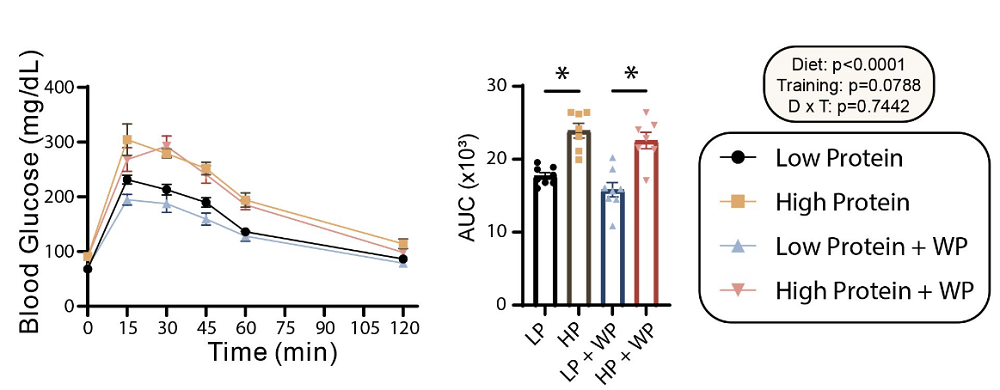 High protein glucose