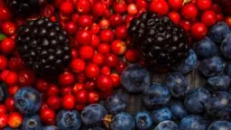 Resveratrol foods