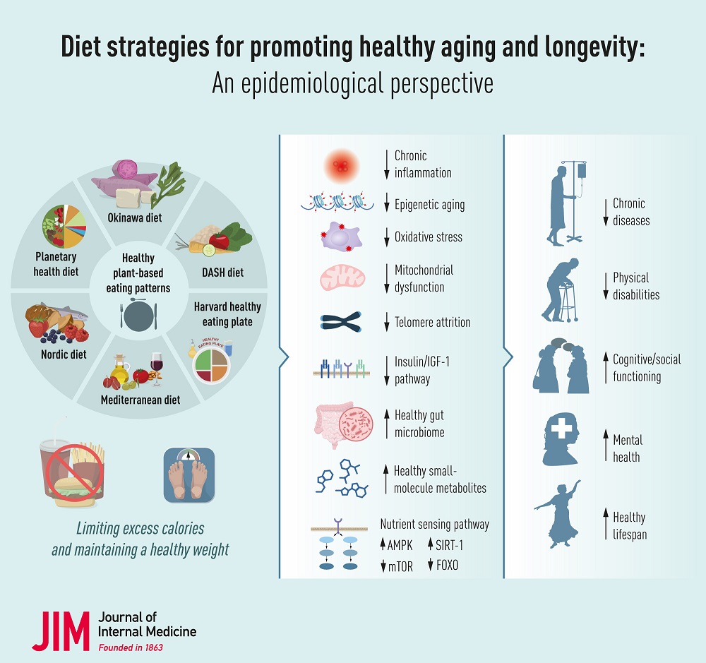 Diet graphical abstract