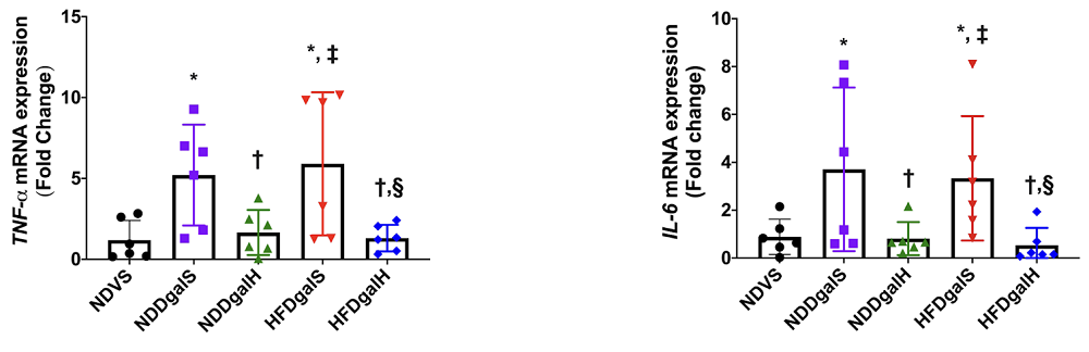 HBOT Obesity 2