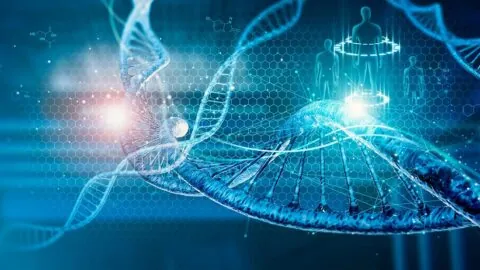 Information DNA
