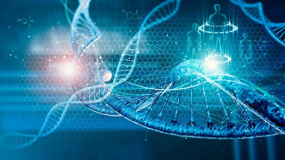 Information DNA