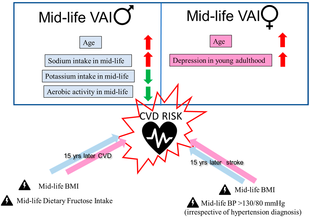 Male Female CVD Risk