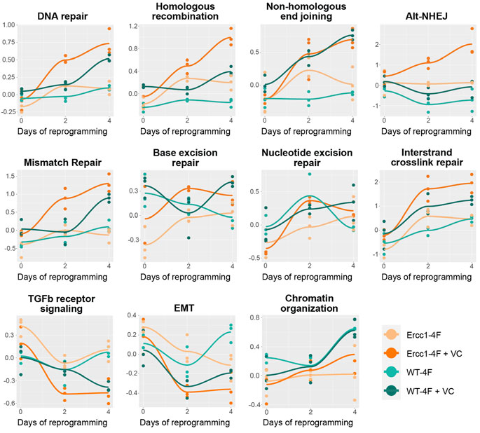 Reprogramming DNA repair