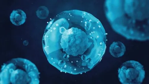 Shielded cells