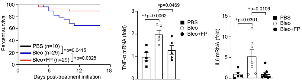 TLR Fibrosis